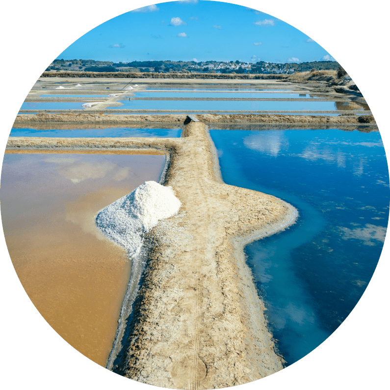 Celtic Salt Hydration