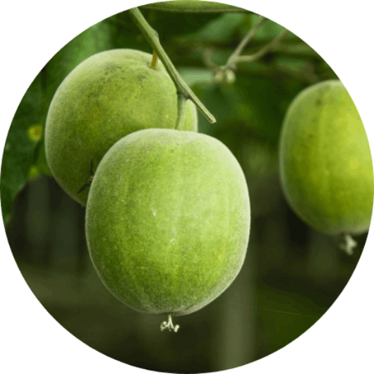 Organic Monk Fruit Healthy